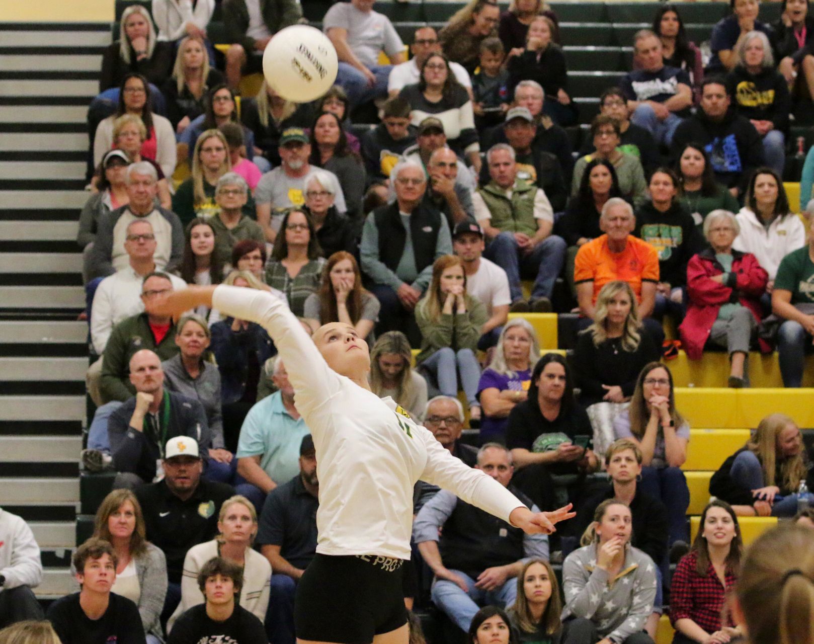 VALLEY BOUND: Golden Bears dispatch Mustangs, advance to championship